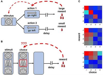 Solving the Credit Assignment Problem With the Prefrontal Cortex